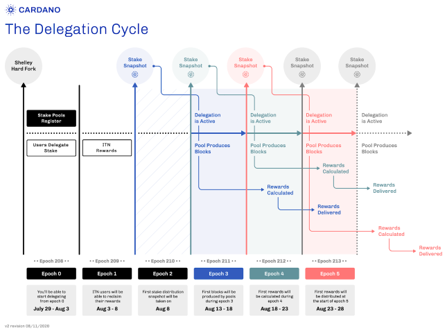 delegation_cycle